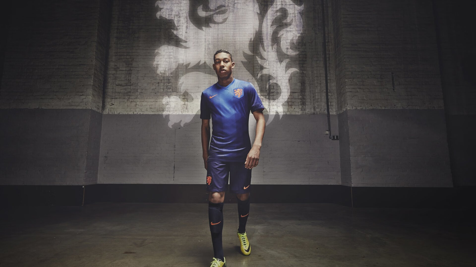 体育信息平台建设与用户交互体验分析，体育信息服务