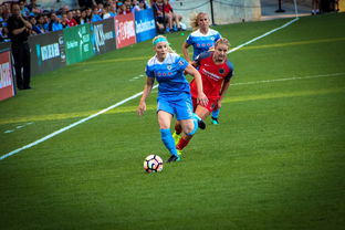 乐鱼体育平台登录-中国篮球职业联赛俱乐部财务风险管理，篮球俱乐部财务制度